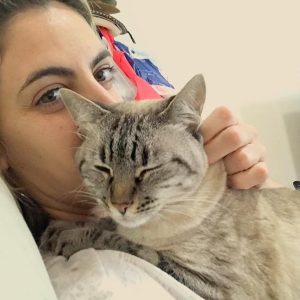 Adoptable Kittens