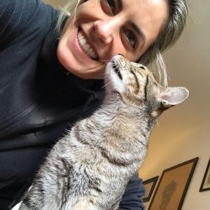 Companion Cats