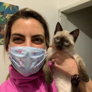 Designer Kittens