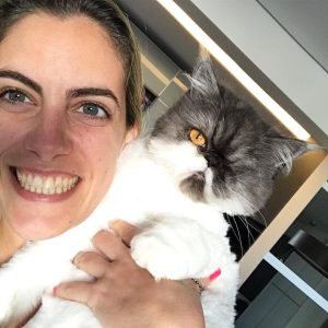 Family Friendly Kittens