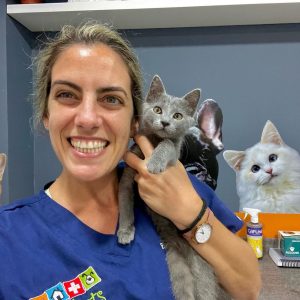 Kittens Available