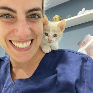 Kittens Looking for Loving Families