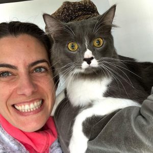 Kittens Seeking Forever Homes