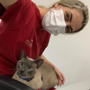 Kittens for Rehoming
