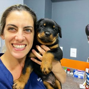 Puppies Available for Adoption