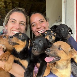 Puppies Near Me