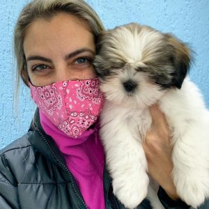 Puppies Seeking Forever Homes