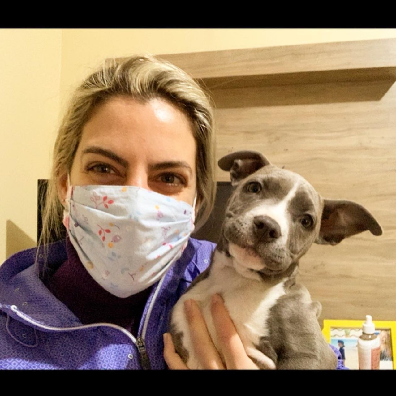 Puppy Rescue Dogs