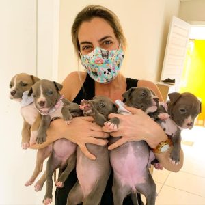 Puppy Rescue Near Me