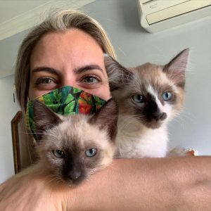 Registered Kittens