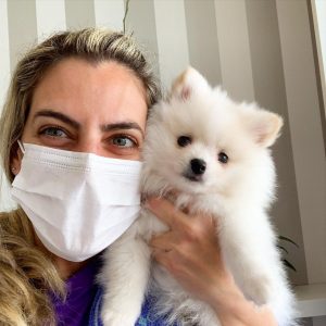 Rescue Dogs for Adoption