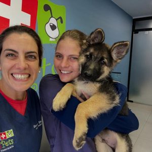 Rescue Puppies