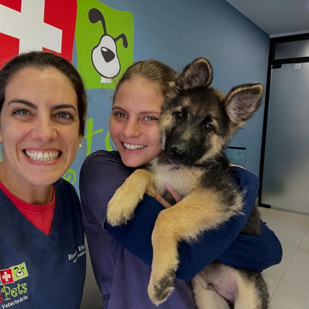 Rescue Puppies