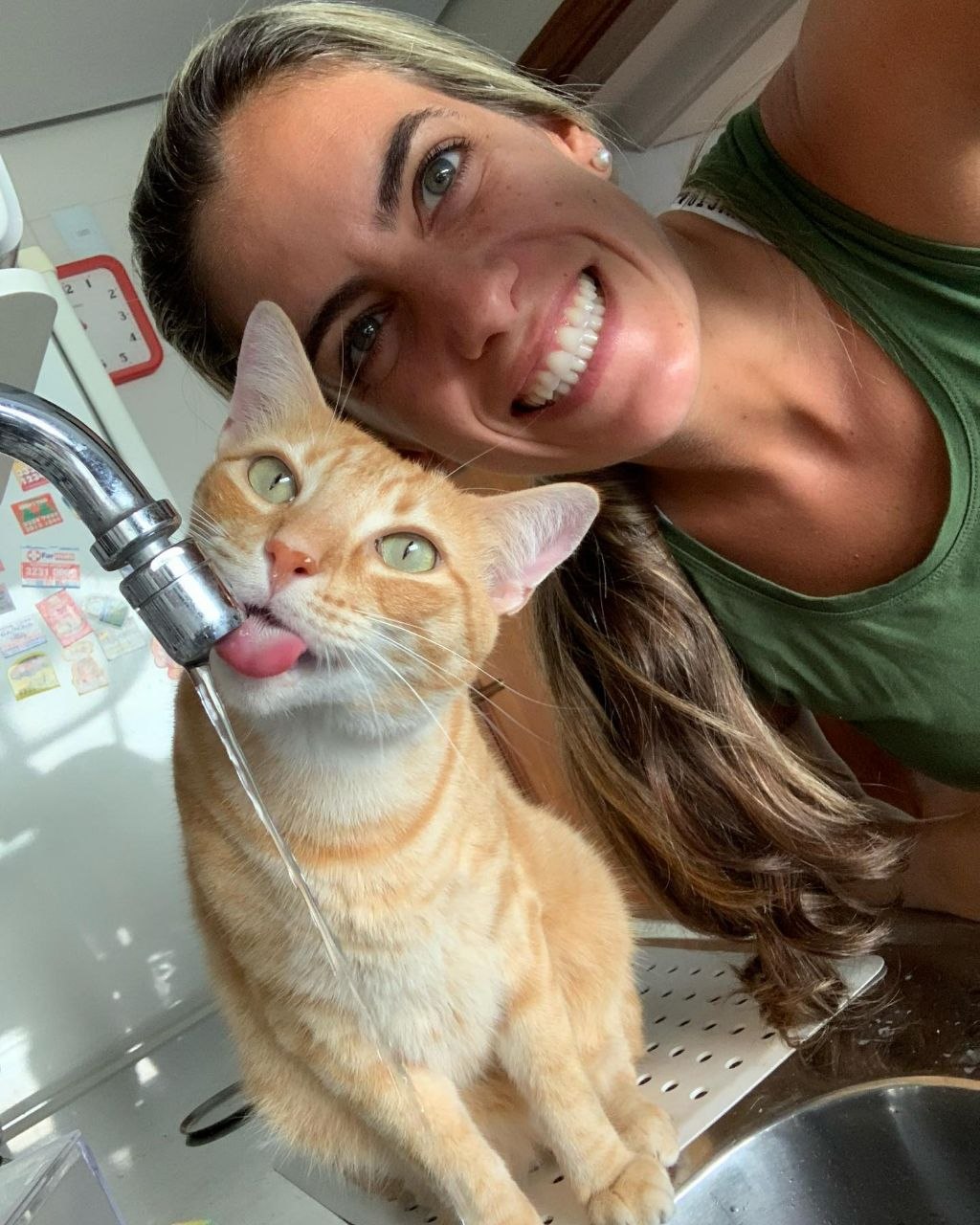Show Quality Kittens
